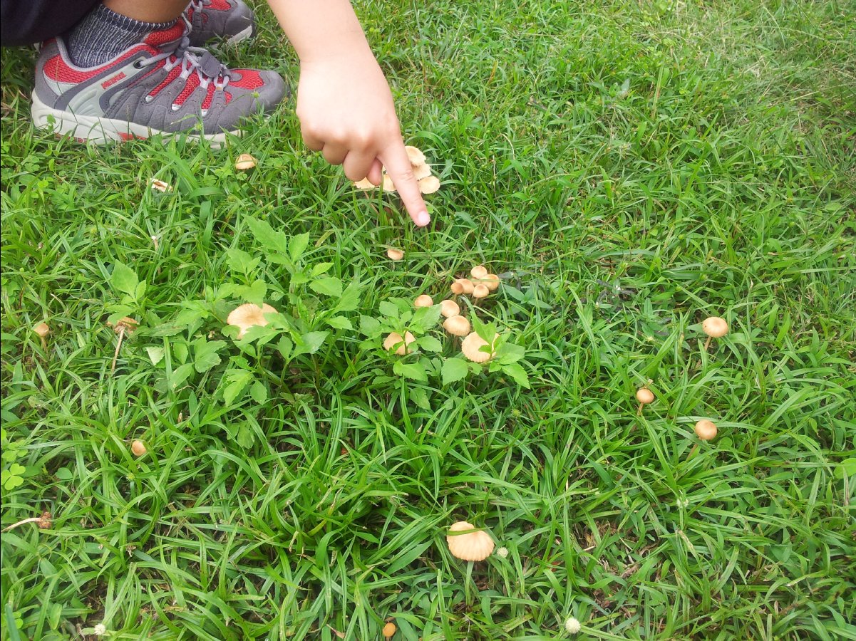 20120422Organic Farm08